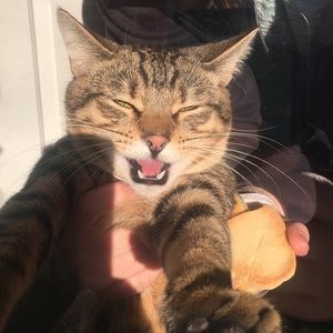 Meet your Posher, Emily